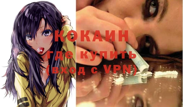 шишки Елабуга