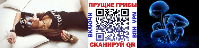 магазин  наркотиков  Протвино  Галлюциногенные грибы Magic Shrooms 